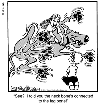 marmaduke
